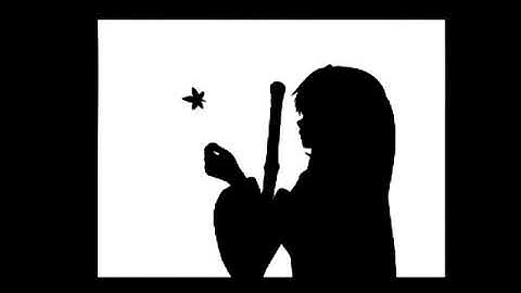 Bad Apple animation - CDXL format on Amiga CD32 SX32 PRO