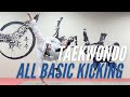 Taekwondo basics all basic kickings