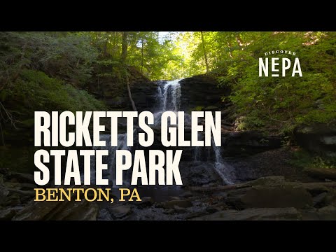 Video: Rickets Glen State Park: The Complete Guide