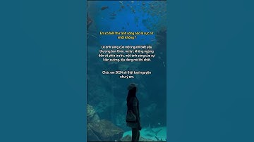 Ánh sáng rực rỡ nhất của 1 người là khi bạn biết cố gắng #shorts #phunu