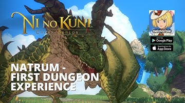 Natrum - First Dimensional Border / Dungeon Experience - Ni no Kuni: Cross Worlds
