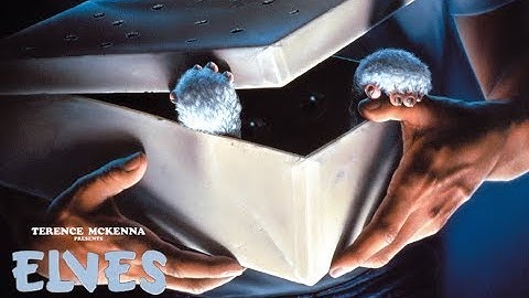 Terence McKenna - Self Transforming Elf Machines