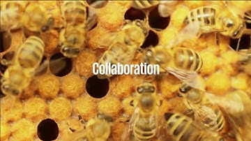 KPMG Clara for clients