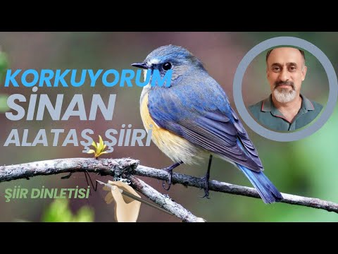 Sinan ALATAŞ | Korkuyorum Duygusal Şiiri