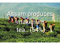 #eastern state part 2  #assam:the tea state of India...