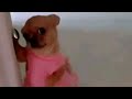 8D-WILDFLOWER(Kulaklıkla dinleyin!)Billie Eilish