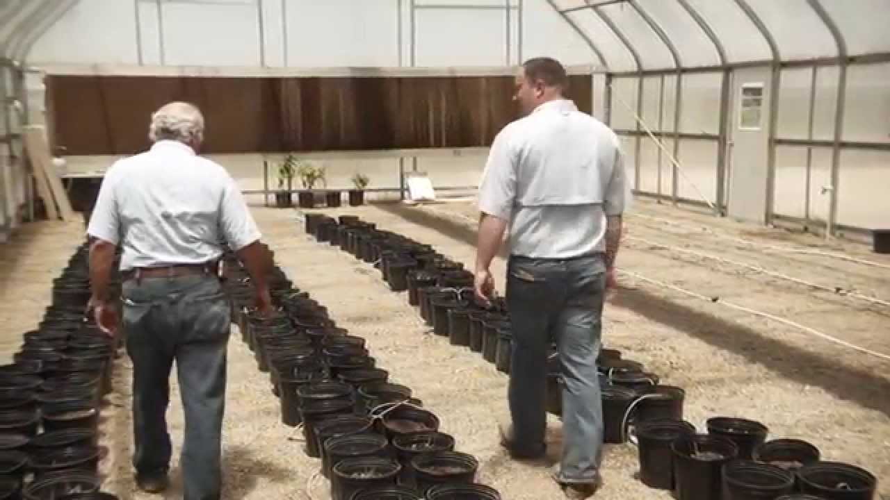 Production Agriculture - Alta Seeds_Advanta US