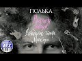 INSTRUMENTAL MUSIC ВИКТОР ЗИНЧУК ПОЛЬКА VICTOR ZINCHUK POLKA STRAUSS