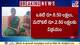 Kurnool ; జొన్నగిరి బాటలో వజ్రాల అన్వేషకులు!  TV9