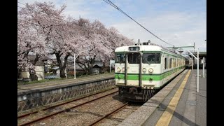 2020 新潟の１１５系　今日の3371MはN35編成　2020.7.21　「4/7撮影　分水の桜」