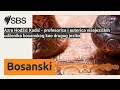 Azra Hodžić Kadić - profesorica i autorica višejezičkih udženika bosanskog kao drugog jezika |...