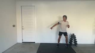 Lateral Shuffle with Up Down