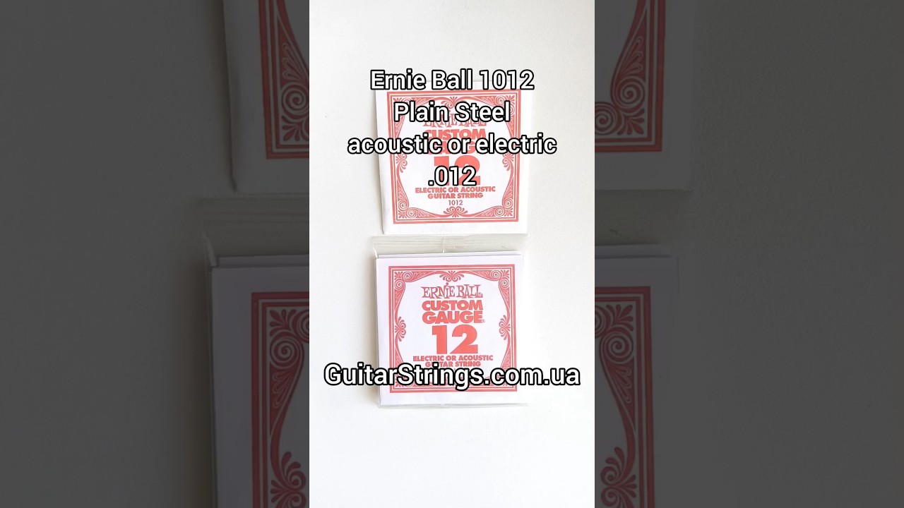 Ernie Ball 1012 Plain Steel acoustic or electric .012 