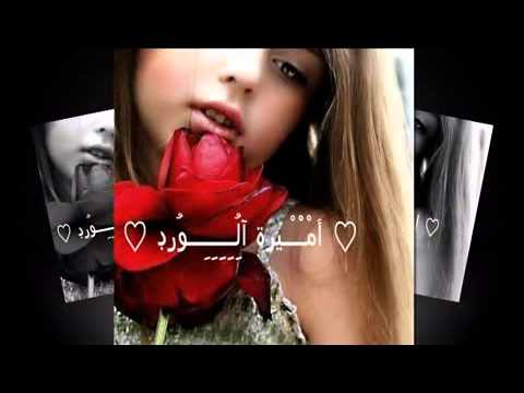 شيرين عبد الوهاب أنا مش بتاعة الكلام ده أهداء للأخت العزيزه ورود و قروبها