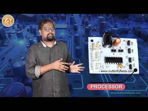 Processor Introduction | Butterfly Fields