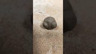 repo heads made from ceramic #repo #ceramic #crafts #claycraft #fun #hobbies