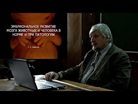 Лекция "Эмбриональное развитие" Сергей Савельев