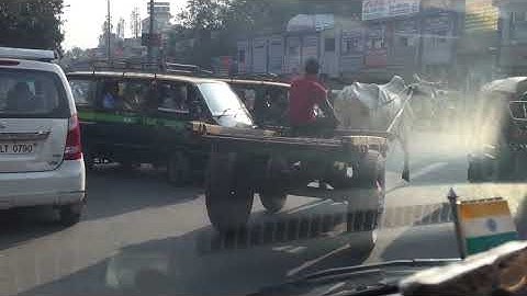 India: Lalu lintas yang gila. Pernahkah Anda melihat sapi sebesar ini? Tampak seperti dinosaurus. Anda tidak pernah tahu