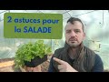 Planter les salades 2 astuces