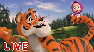 qizaloq va maymoq multfilm uzbek tilida yangi qismlar 2022