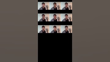 Face2Face + Faceparsing + Seamless Cloning