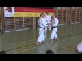 Fudokan Karate Dr Ilija Jorga 10 DAN