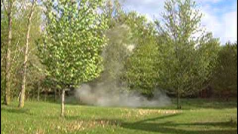 More Flour and 1 pound sure shot target