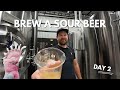 How To Brew A Sour Beer Like A Pro - Part 2