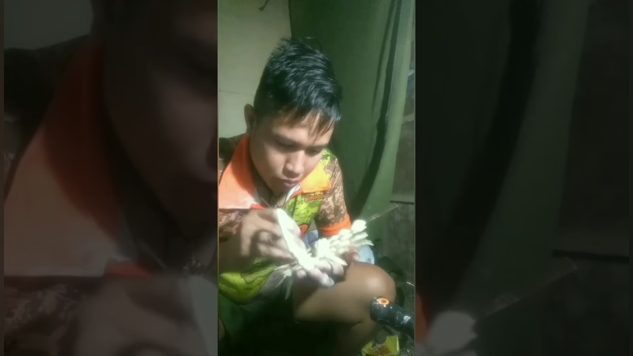 Make Any Scropture YouTube Make Any Scropture YouTube