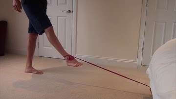 Hamstring eccentric exercises 2