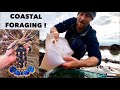 COASTAL FORAGING - Ray , Big Lobster & MONEY ! Cracking day Foraging the Sea Shore !