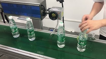 CO2 Assembly Line Production Online Flying Laser Marking Machine PET bottle plastic no consumables