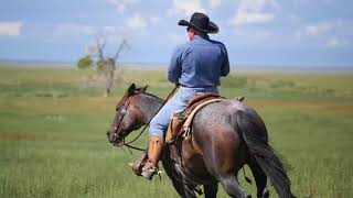 Horseback Riding 101 : Cam Schryver: a basic handle warmup for your horse