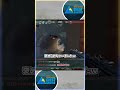 【小ネタ】ネストの撃ち合い攻略法 #shorts