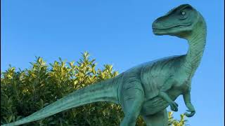 Rye-Ic Adventure Park