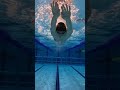 Эстетика брасса #плавание #swimming #swim #бассейн #swimglide