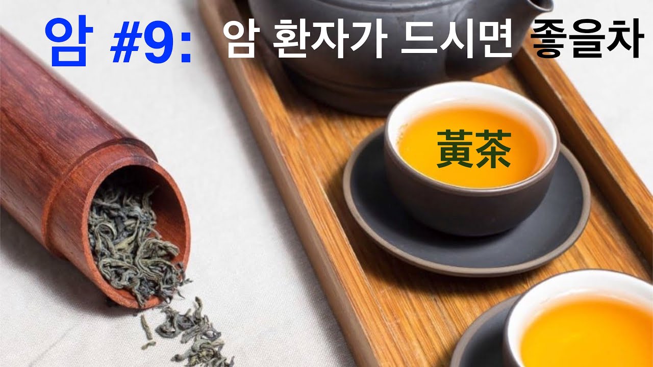 암 #9: 암환자가 마시면 좋은 황차(黃茶)의 효능!! (혈관신생억제,암전이억제) - YouTube