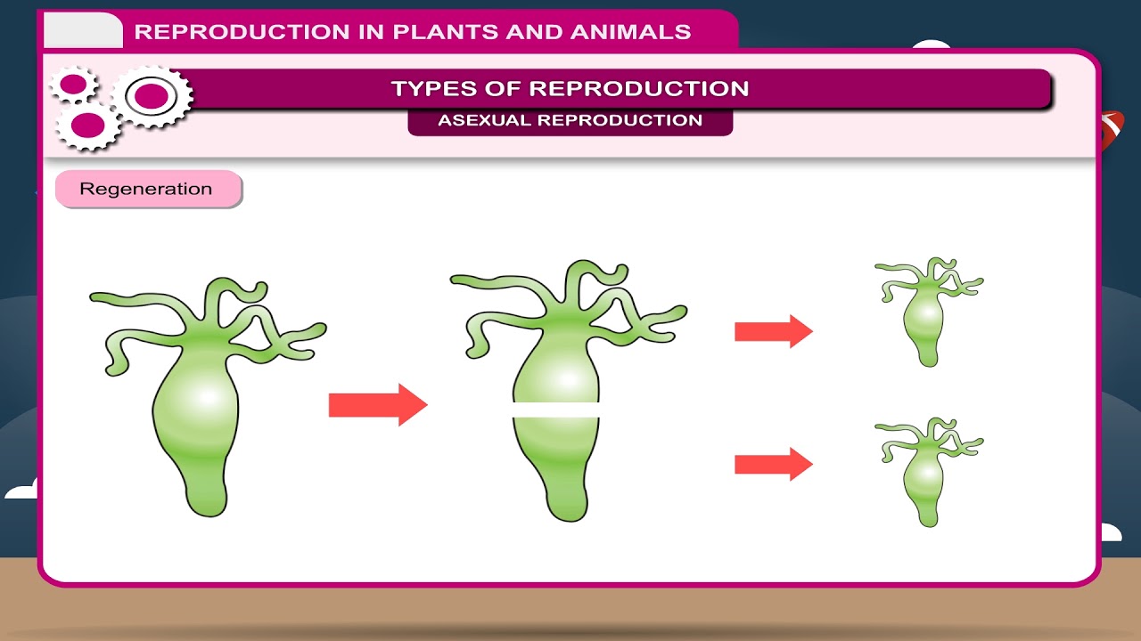 case study questions on reproduction class 8