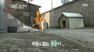 세상에 이런 일이 130815 다시보기 #9(6)