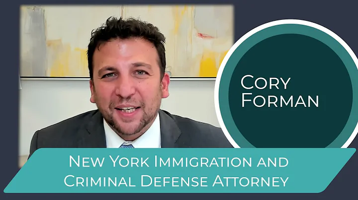A Defense Lawyer Fighting for Immigrant Rights - N...