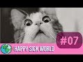 Worlds funniest cats  happy sick world no 7