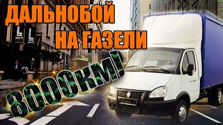 #ВРЕЙСЕ/ СЛЕТЕЛ С ДОРОГИ! Краснодар-Тюмень-Сургут-Нижневартовск-Казань.