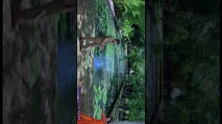 Ek Dil Hai Hum Ek Jaan Hai