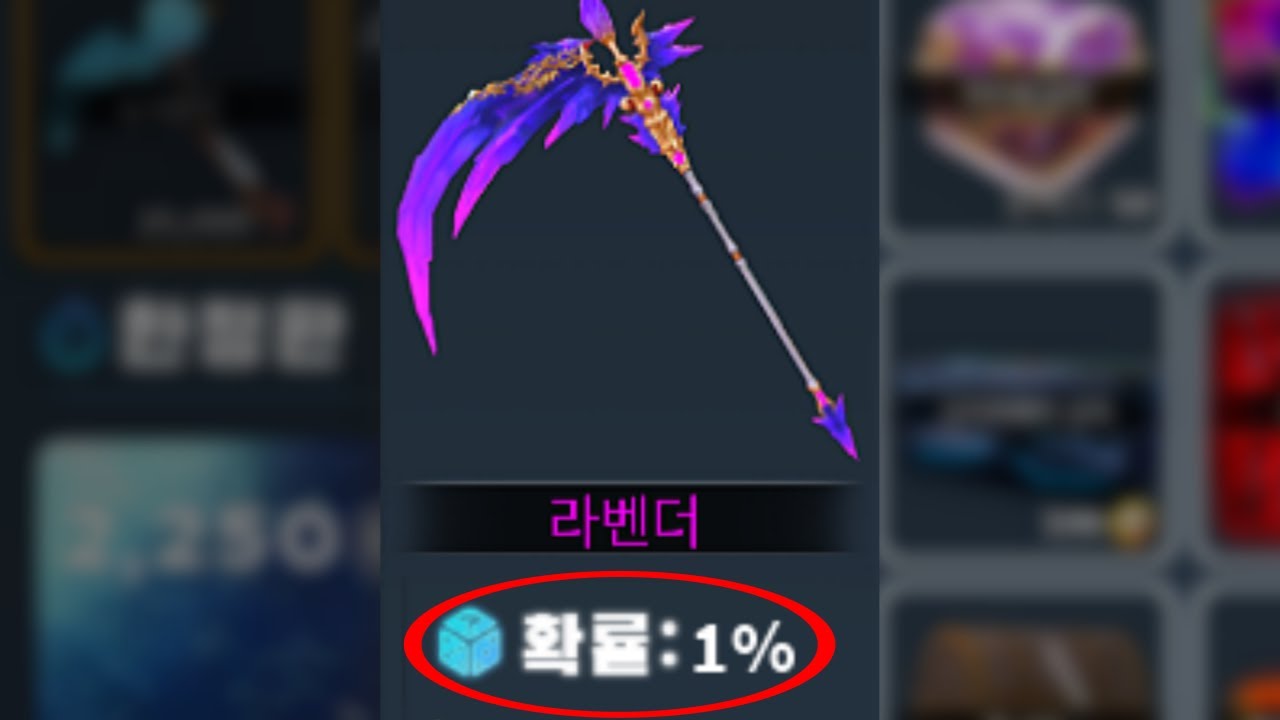 극악의 확률로 뽑을 수 있다는 라벤더 세트 리뷰