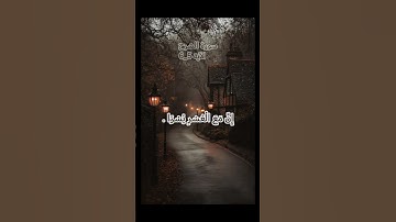 سورة الشرح |فَإِنَّ مَعَ الْعُسْرِ يُسْرًاإِنَّ مَعَ الْعُسْرِ يُسْرًا|🤎 .