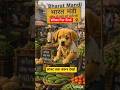 😔 बेजुबान Dog के साथ बहुत गलत हुआ | Heart Touching Dog Sad Story #shorts #ai #viralshorts #trending