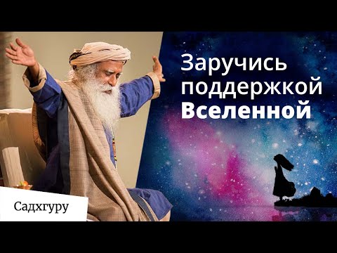 Как жить, чтобы Вселенная поддерживала тебя