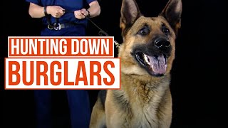 These Dogs Can Smell Fear.. and they&#39;re cute too | Send In The Dogs | TCC