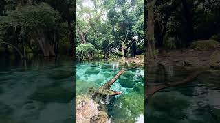 Back to nature✨