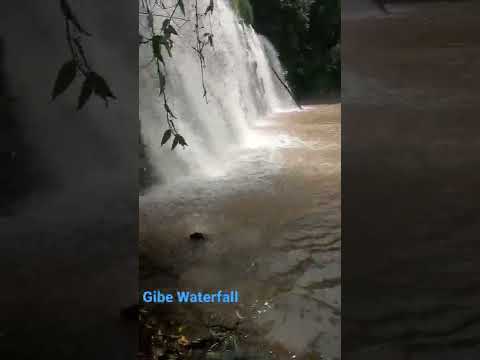 Seqa Waterfall Finca Aa Saqqaa Shorts